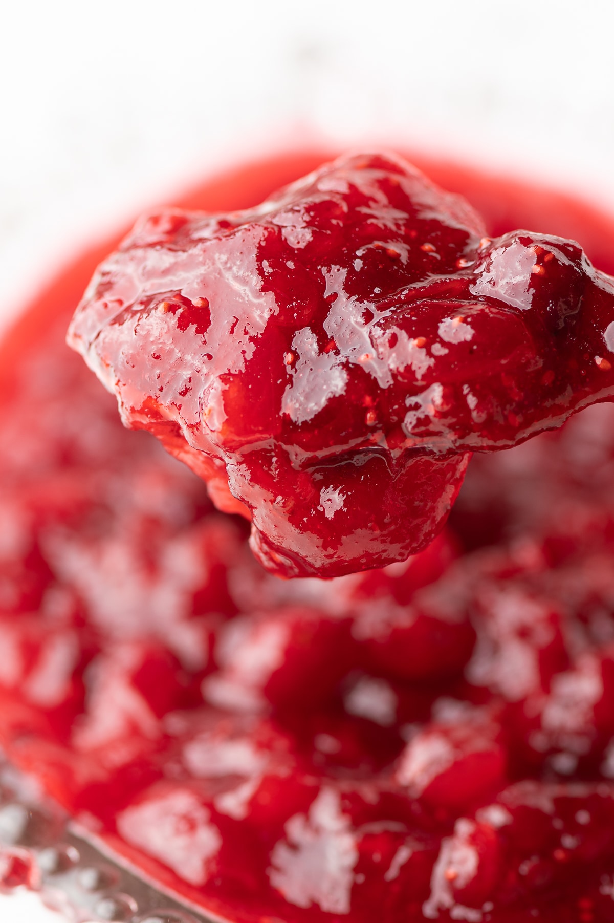 Extreme closeup of a spoonful of sugar free cranberry sauce.