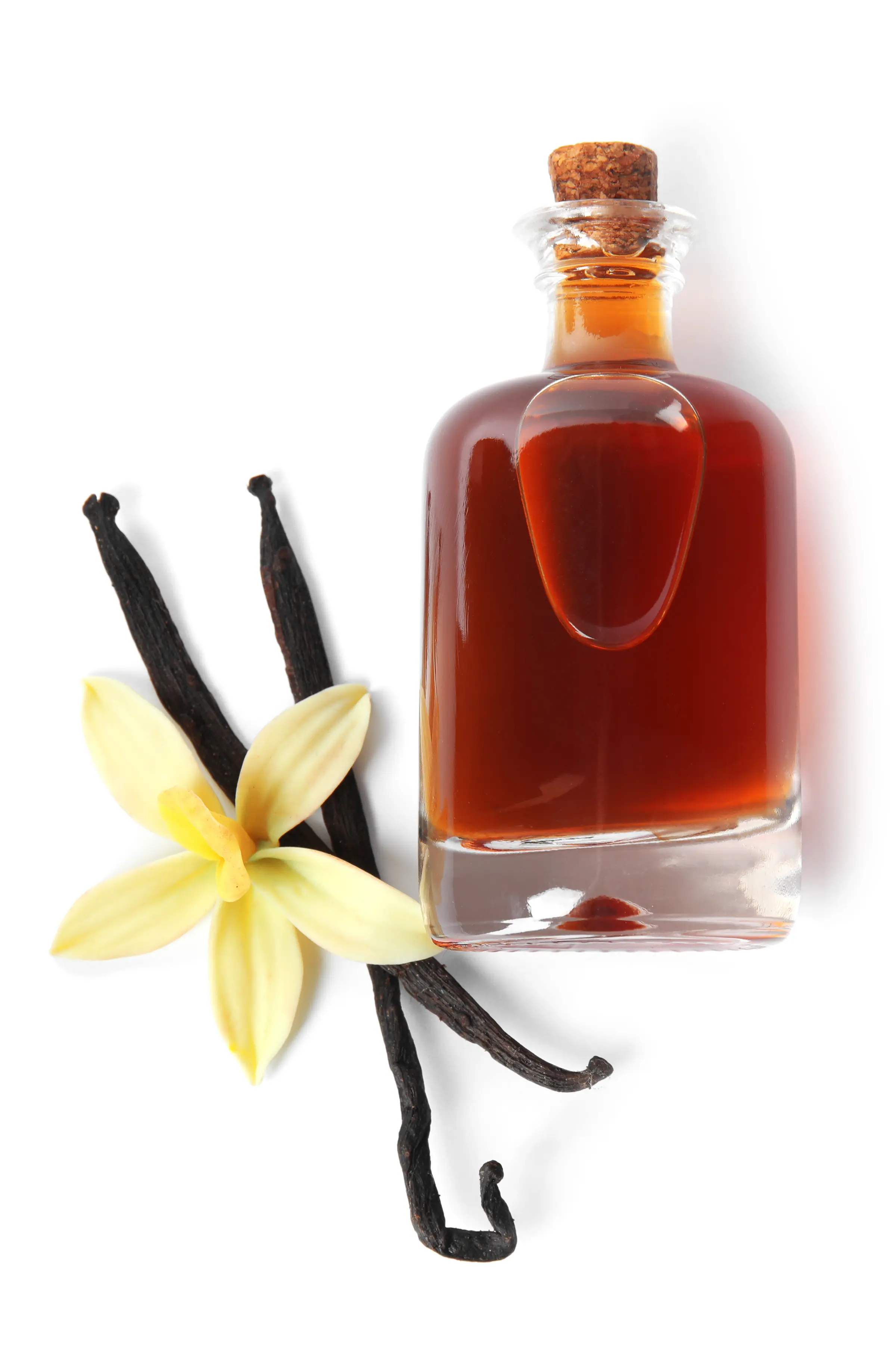 Vanilla beans and flower next to a small bottle of vanilla with a cork stopper.