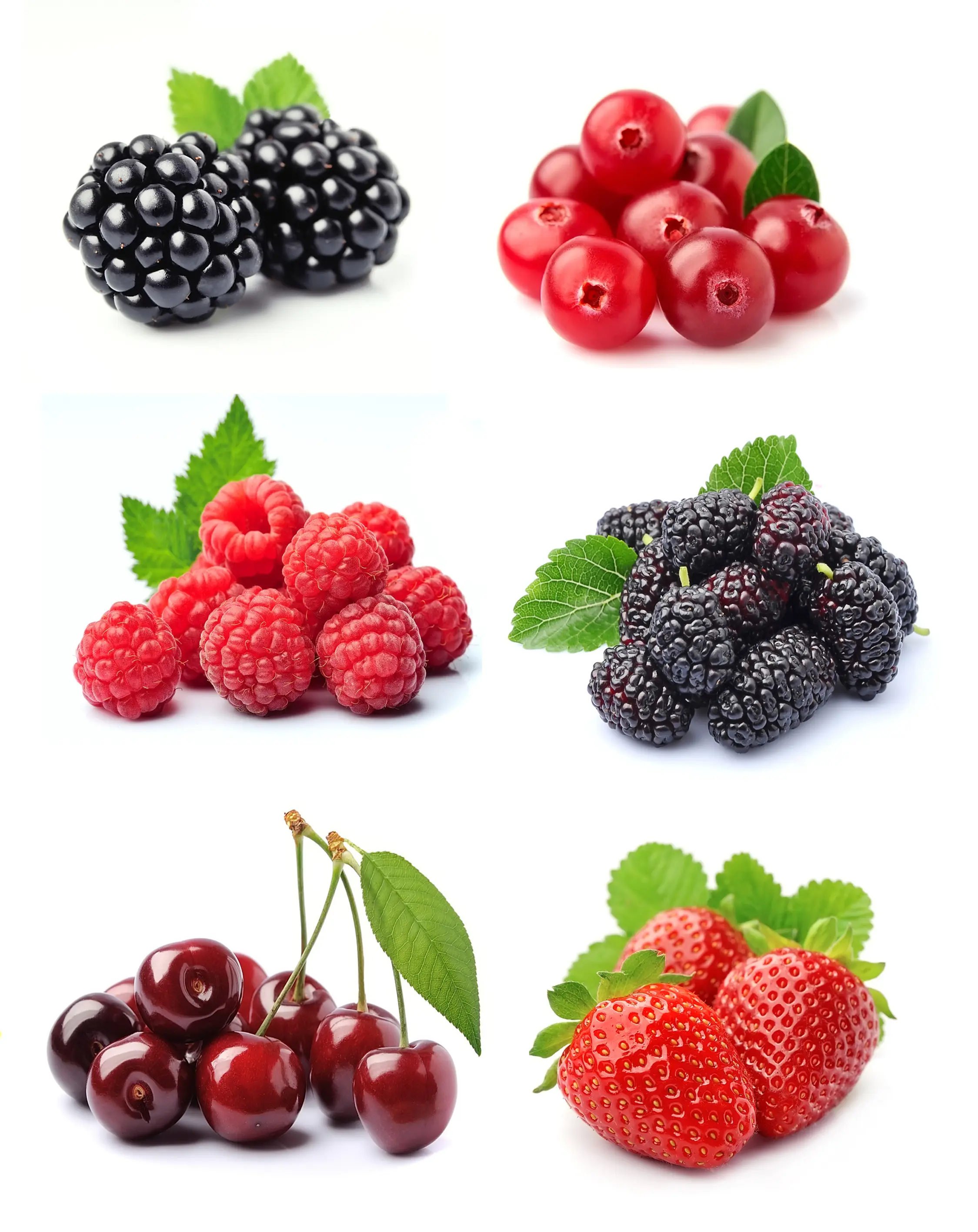 Low carb pantry essential berries & fruit isolated on a bright white background (cherries, blackberries, currents, raspberries, and strawberries) 