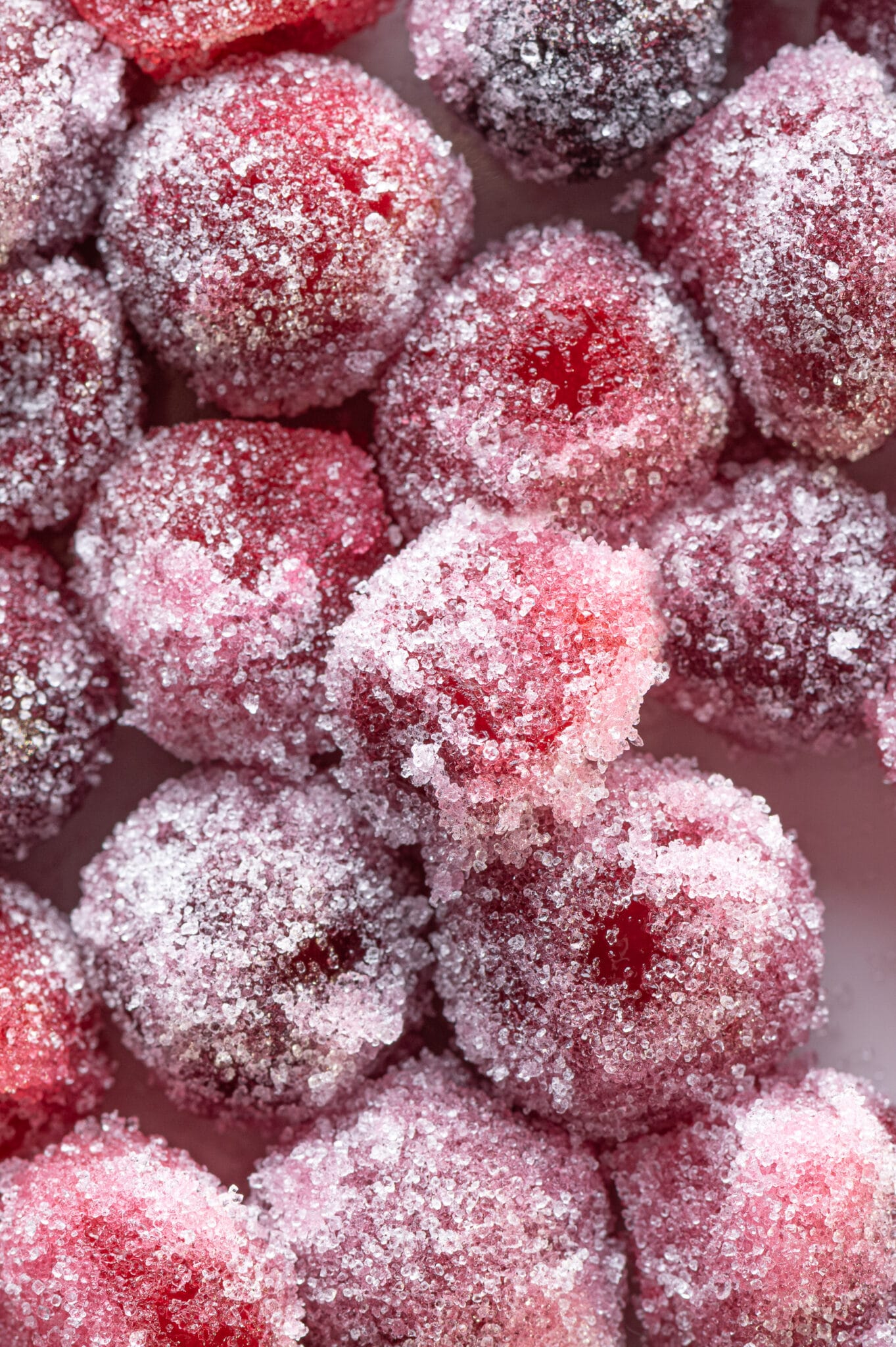 Close up image of sugar-free candied cranberries coated in granular sweetener